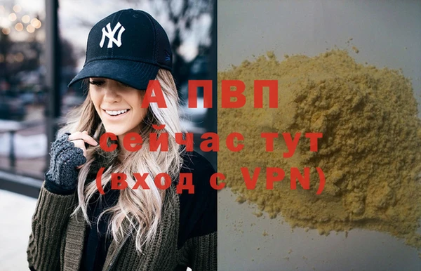ПСИЛОЦИБИНОВЫЕ ГРИБЫ Козловка