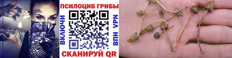 Галлюциногенные грибы мухоморы как найти наркотики это состав Ишим